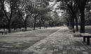 Temple of Heaven #1